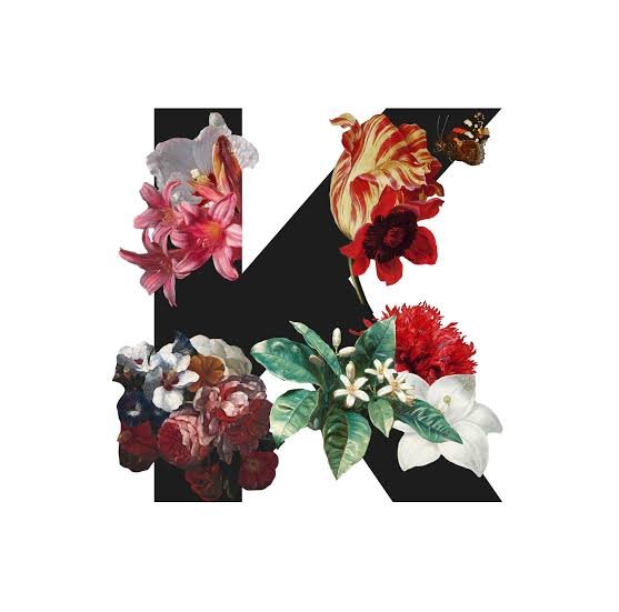 Home thephotobooth-knowhere-brisbane